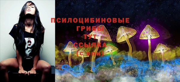 экстази Арсеньев