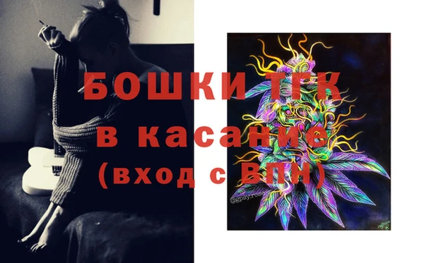 экстази Арсеньев