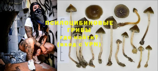 экстази Арсеньев